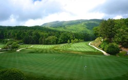 ssha-karolina-derevya-pole-zelen-travy-flagi-golf-12x18-20x30-24x36-32x48-dyujmov-pechati-plakatov-1
